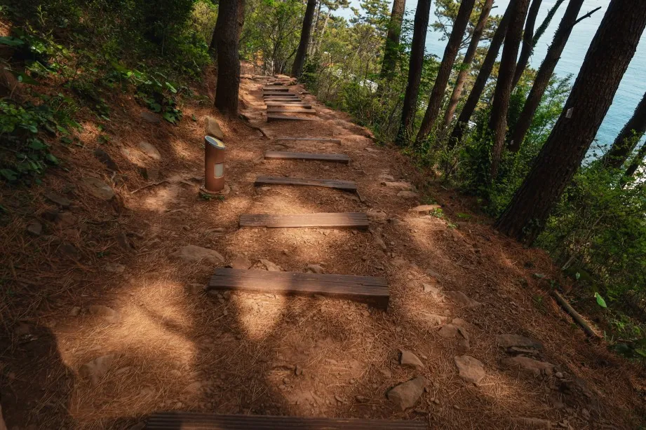Moontan Road best things to do in busan
