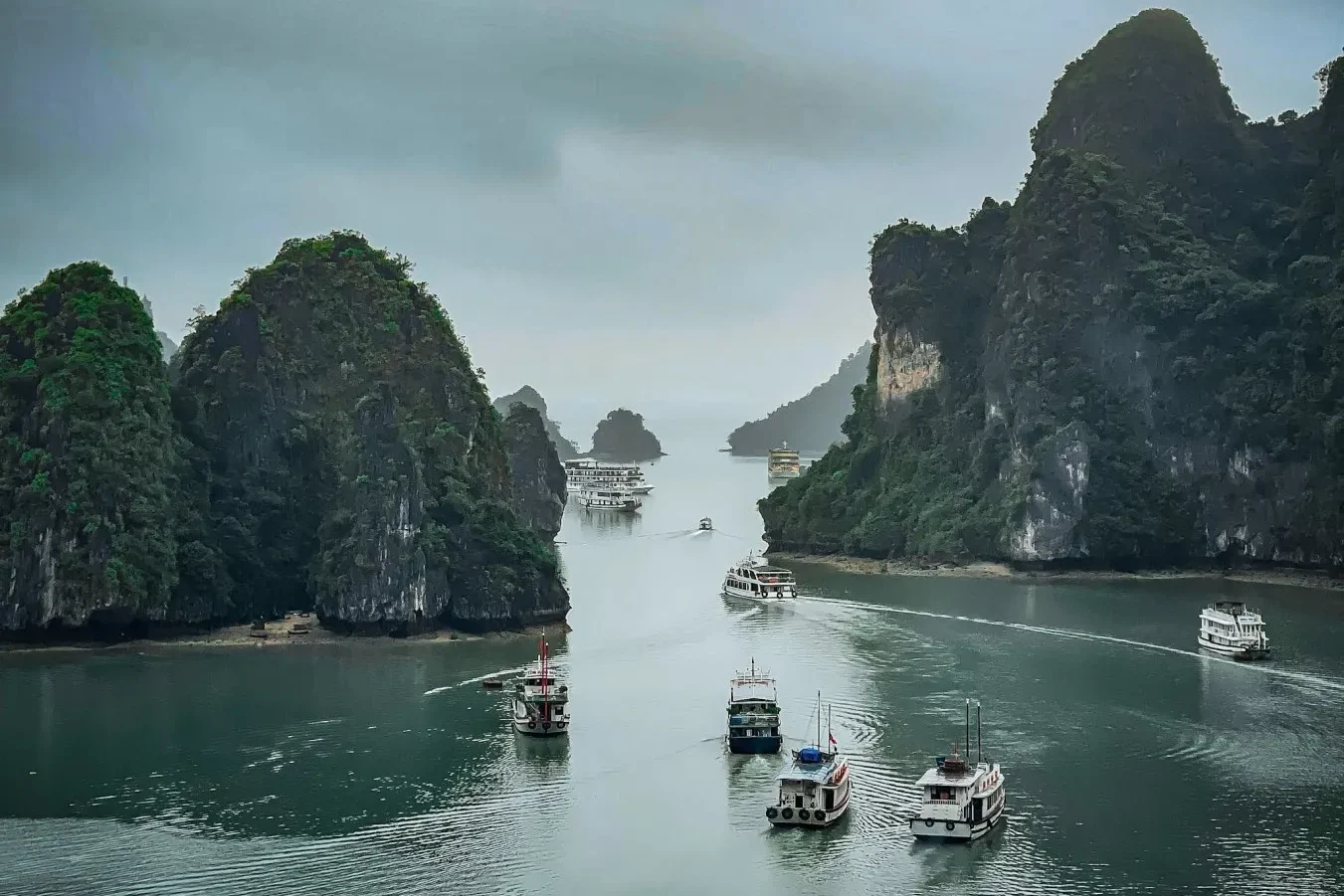 athena royal cruise halong bay review
