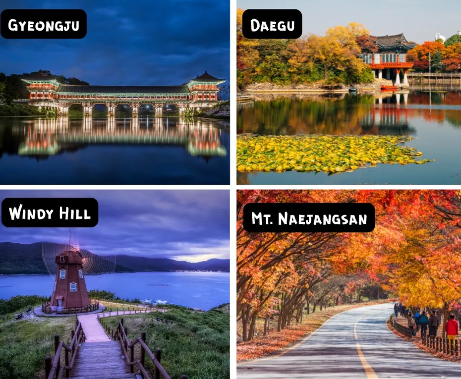 day trips from busan