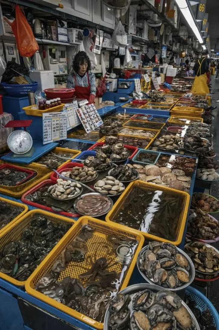 Jagalchi Market what to see in busan