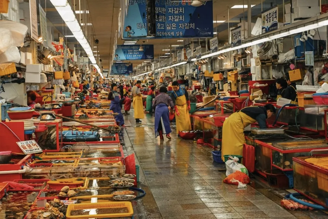 Jagalchi Market attractions in busan