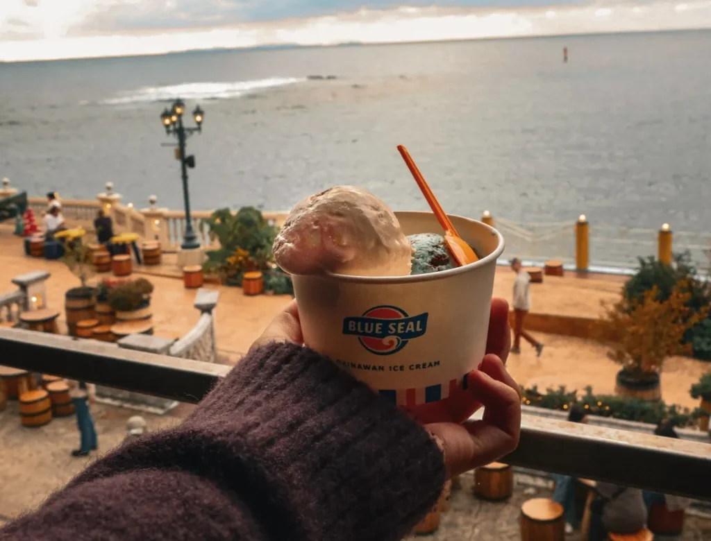 america village japan