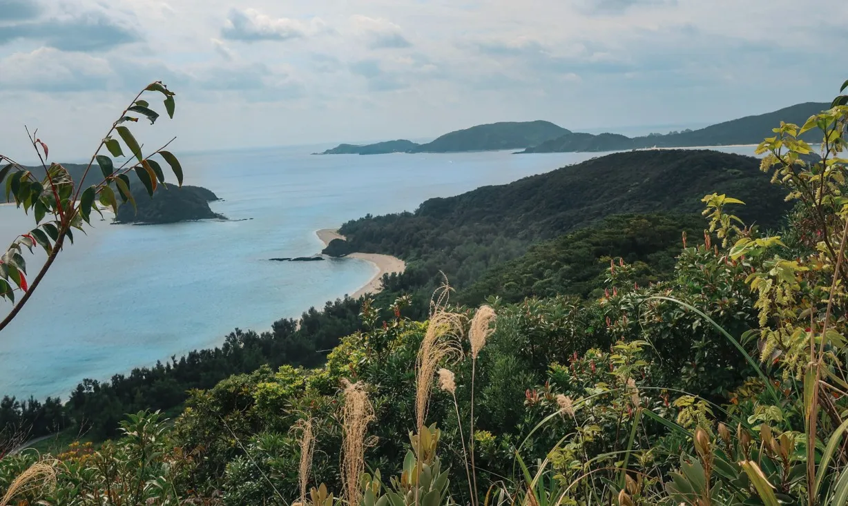 Mt. Takatsuki zamami island