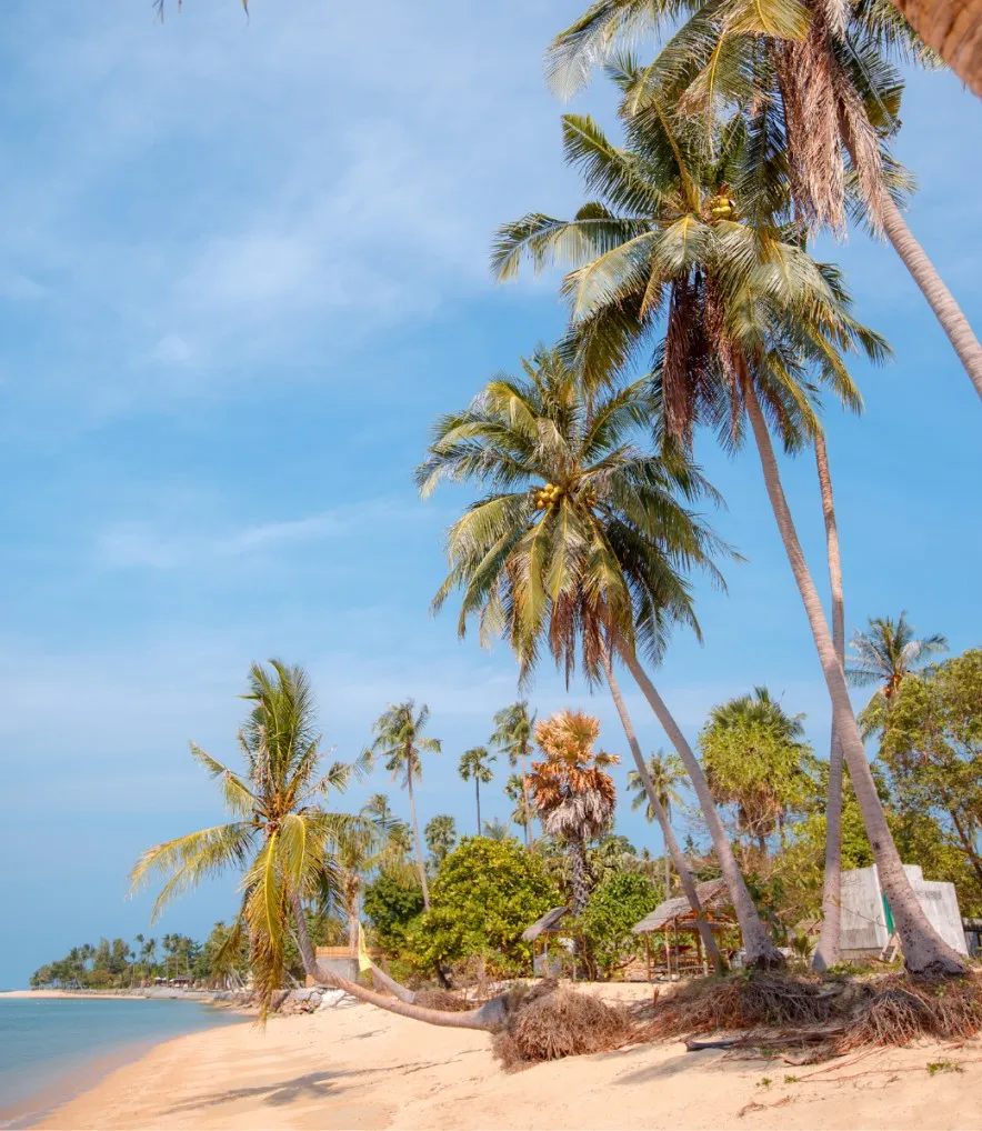 best places to stay on a budget koh samui