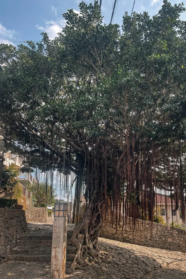 Shuri Kinjo Town Stone-paved Road