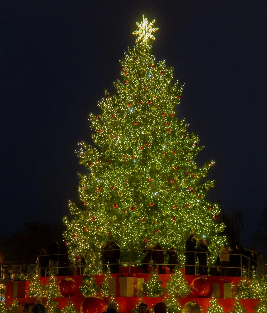 vilnius christmas tree 2025