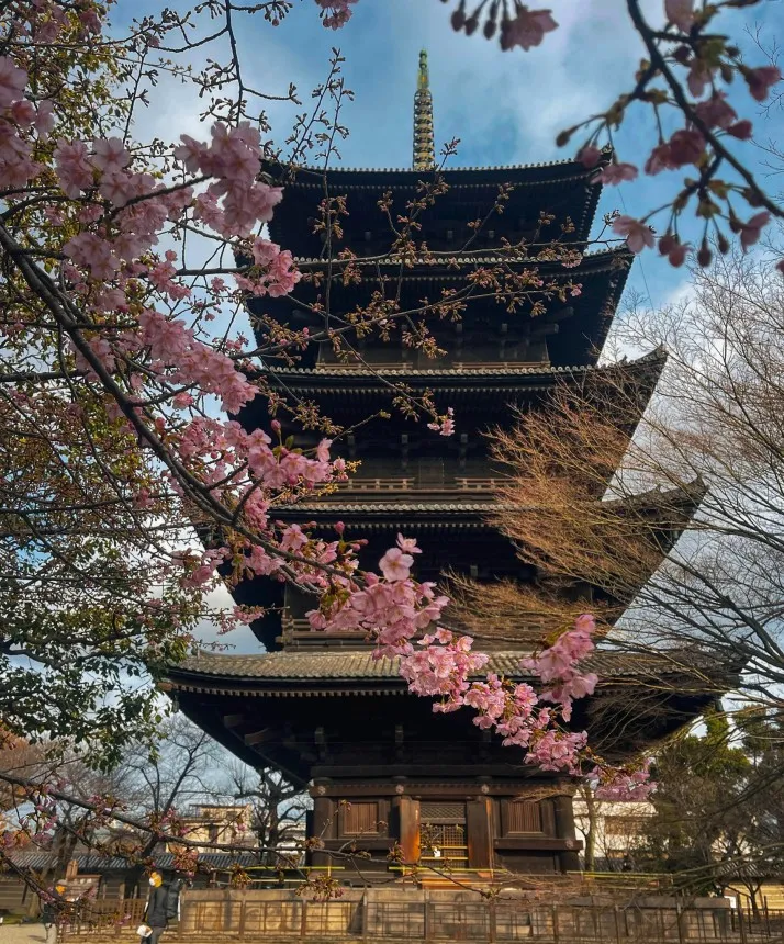 where to stay in kyoto