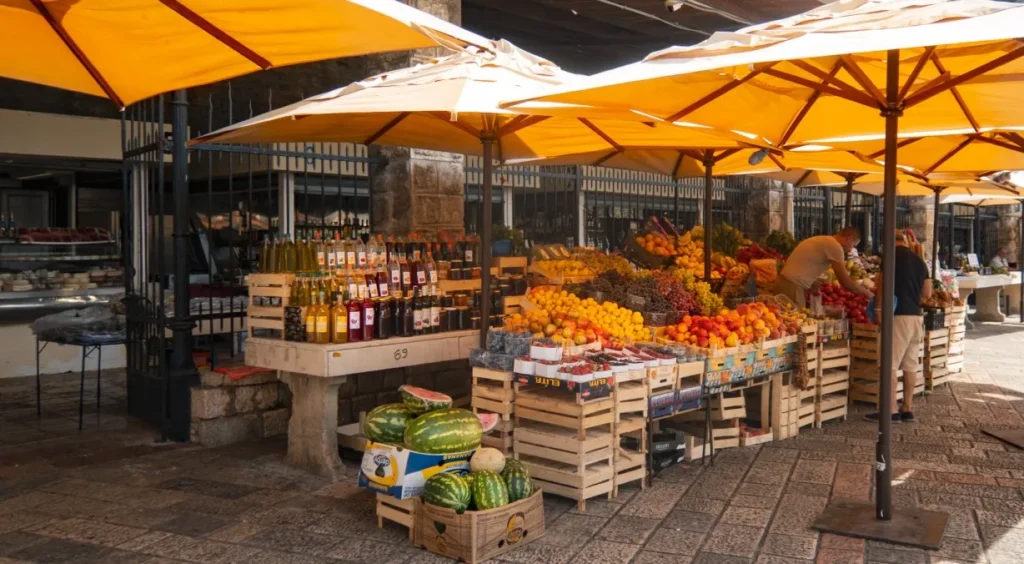 things to do in kotor