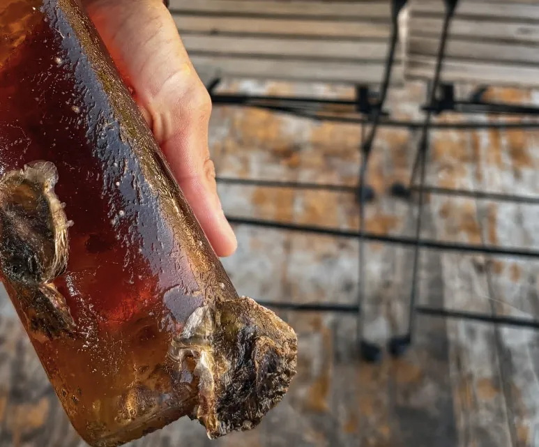 kotor tourist attractions