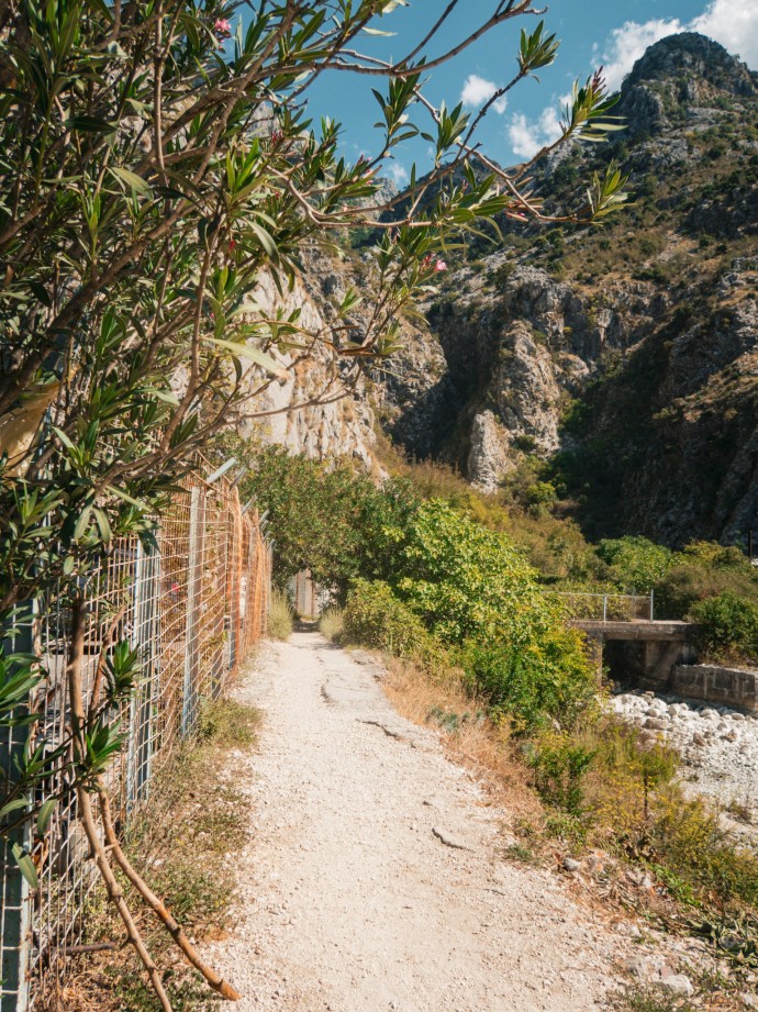 start of free trail kotor