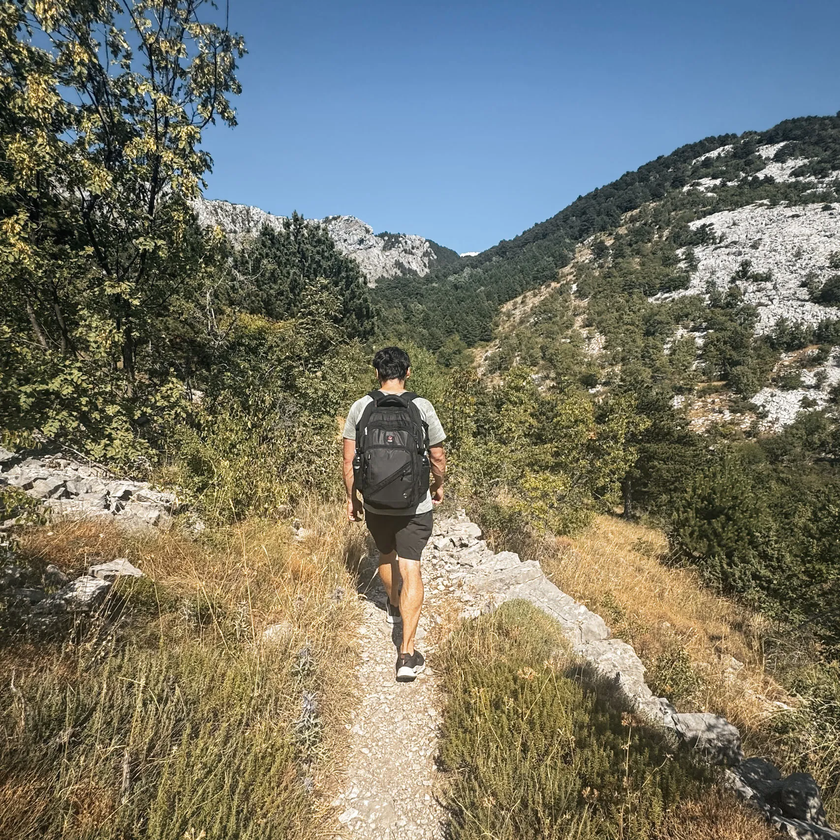 best things to do in kotor ladder of kotor