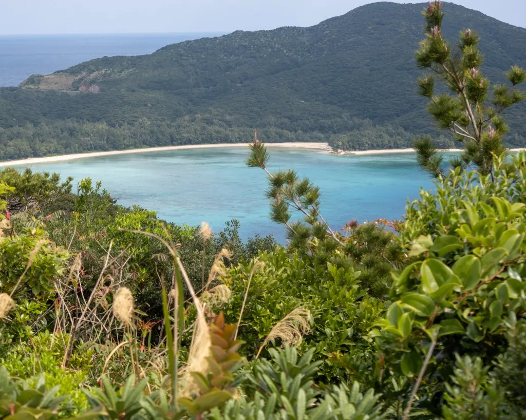 how to visit zamami island okinawa travel guide