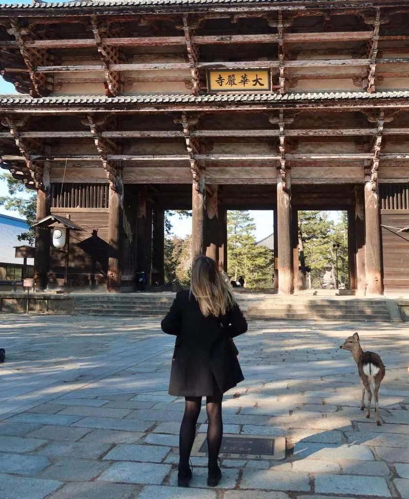 best kyoto day trips