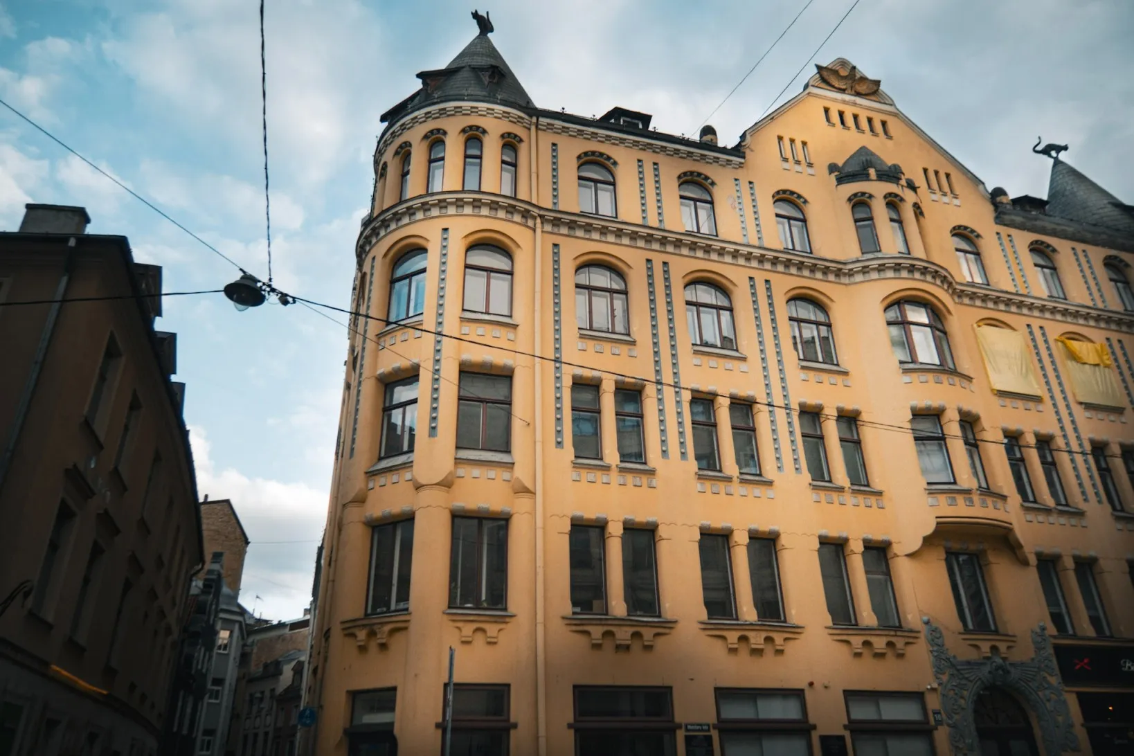 house of cats riga latvia