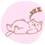 sleepy cat hotel icon taraohreilly
