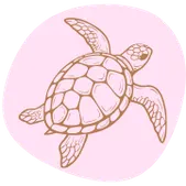 icon turtle taraohreilly
