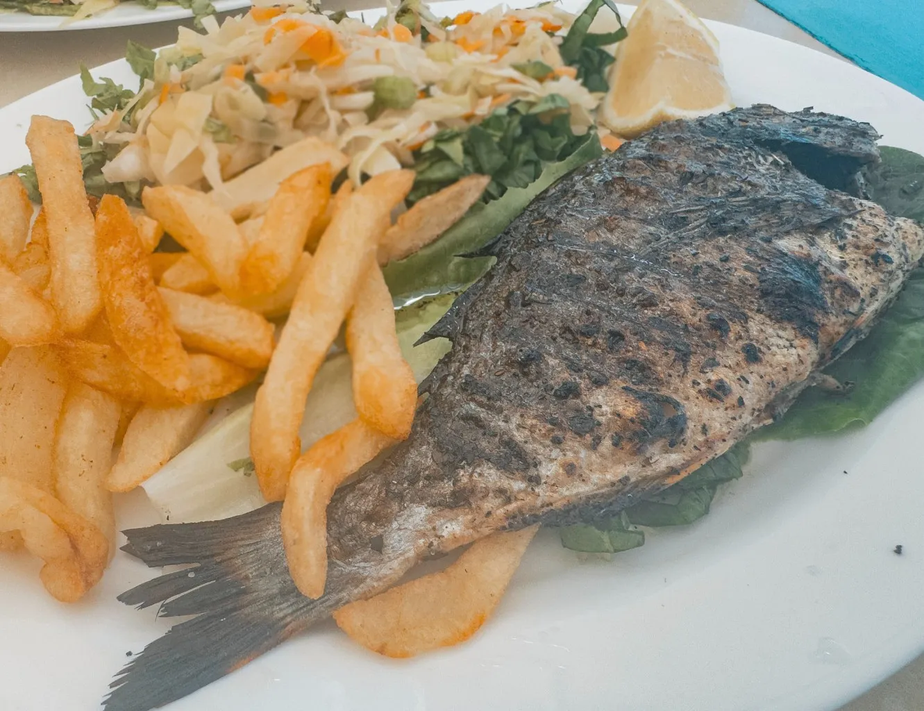 sea bream fish crete