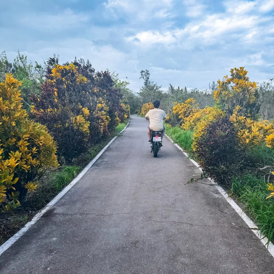cycling taitung forest park