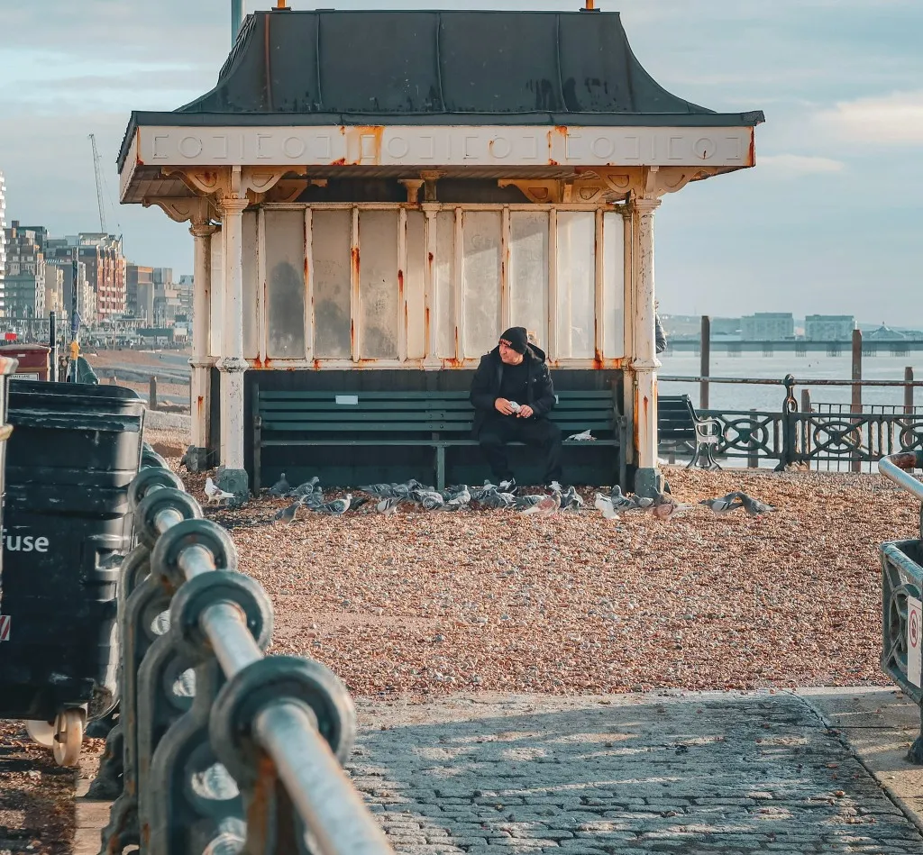 man feeding birds brighton