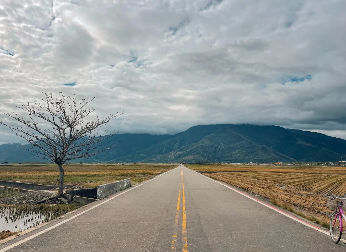 cycling Brown Boulevard chishang, Taiwan