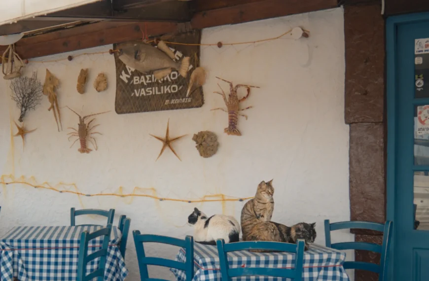 best restaurants in crete chania