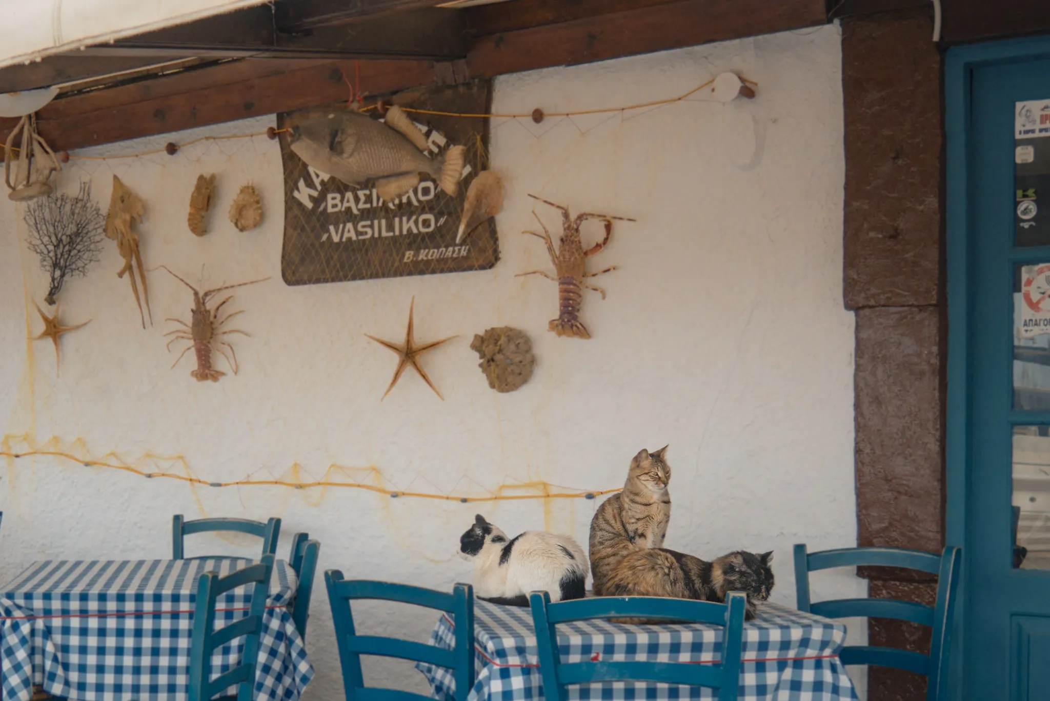 best restaurants in crete chania