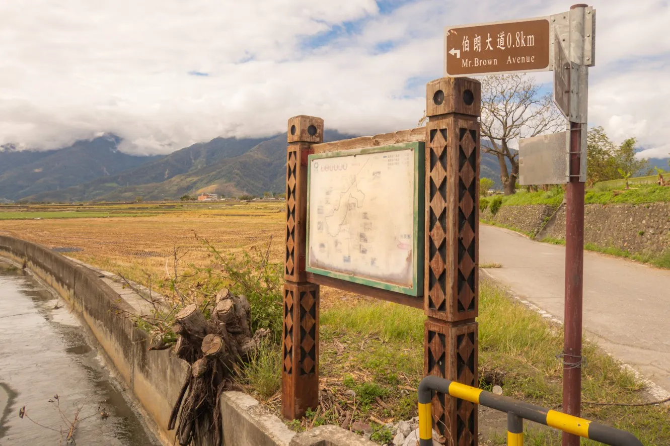 mr brown avenue chishang rice fields