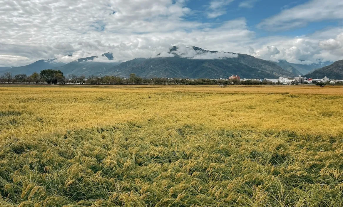 things to do in chishang, taiwan